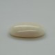 White Coral (Safed Moonga)  7.23 Ct Good Quality